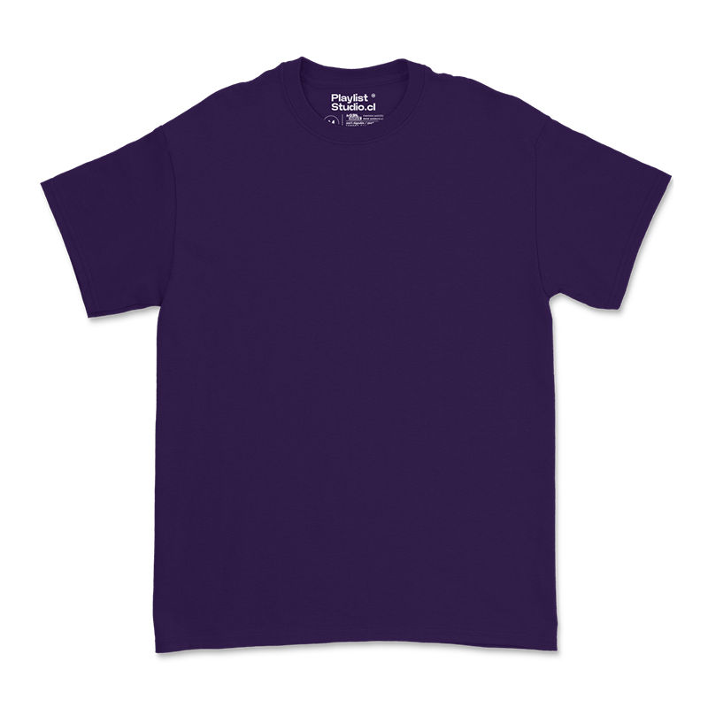 Polera Regular 180gr. - MODELO "WINTER"