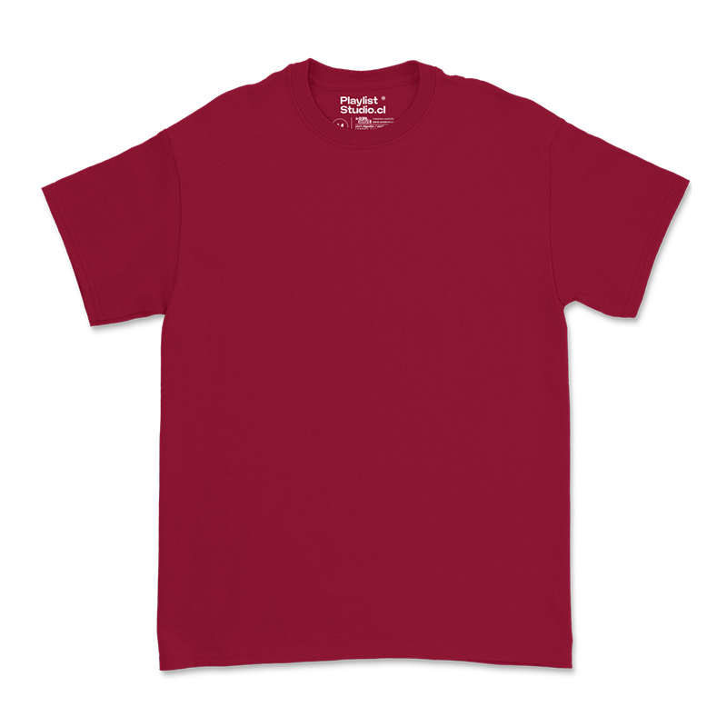 Polera Regular 180gr. - MODELO "WINTER"