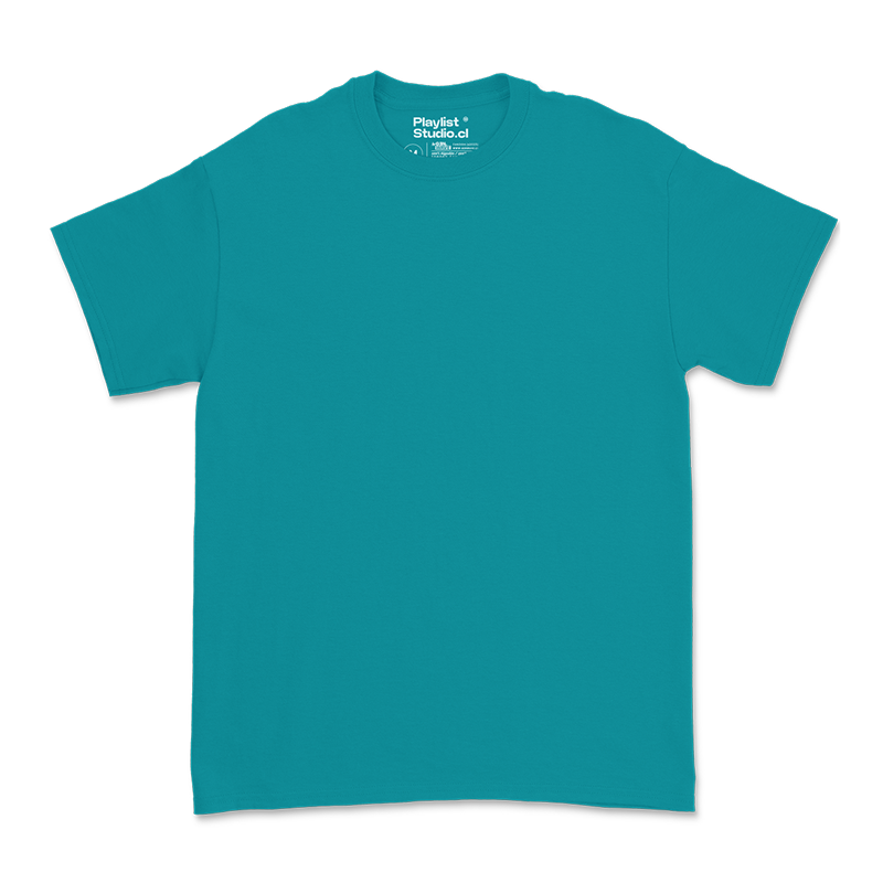 Polera Regular 180gr. - MODELO "WINTER"
