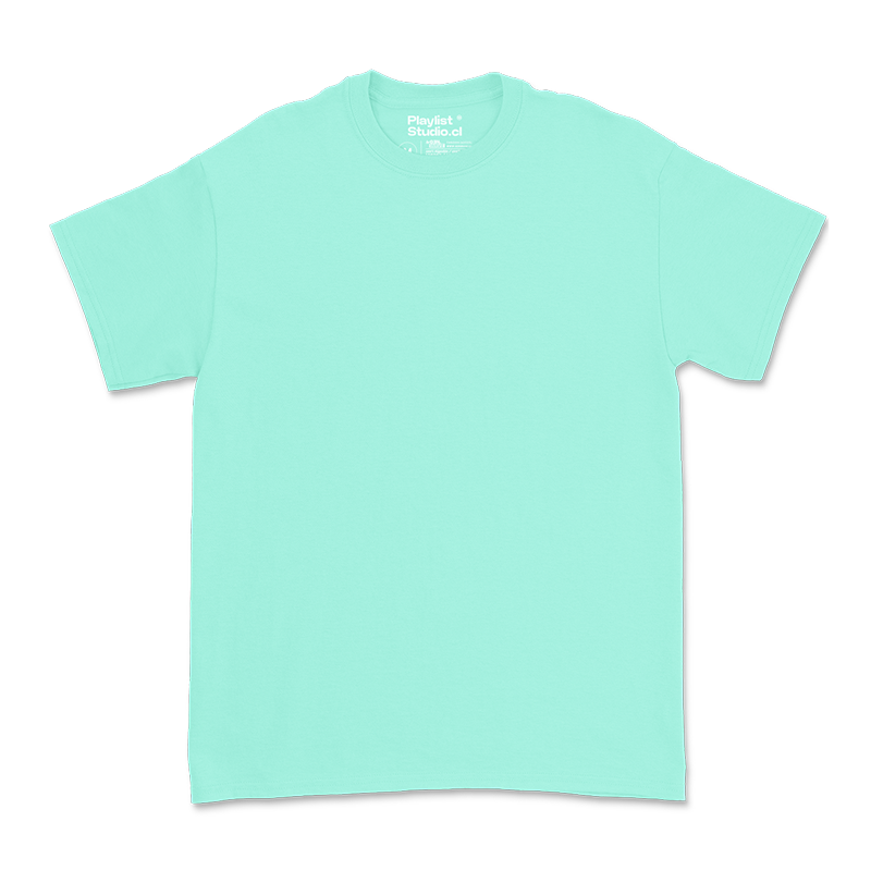 Polera Regular 180gr. - MODELO "WINTER"